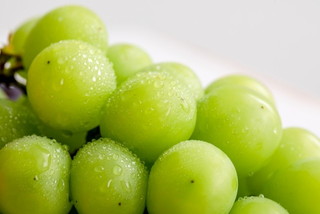 【 数量限定 】 令和8年産 伊万里産 シャインマスカット 約1.3kg 197-B887