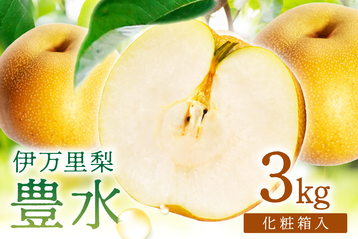 ã æ°ééå® ã äŒäžé 梚 è±æ°Ž 3kg åç²§ç®± 199-B1084