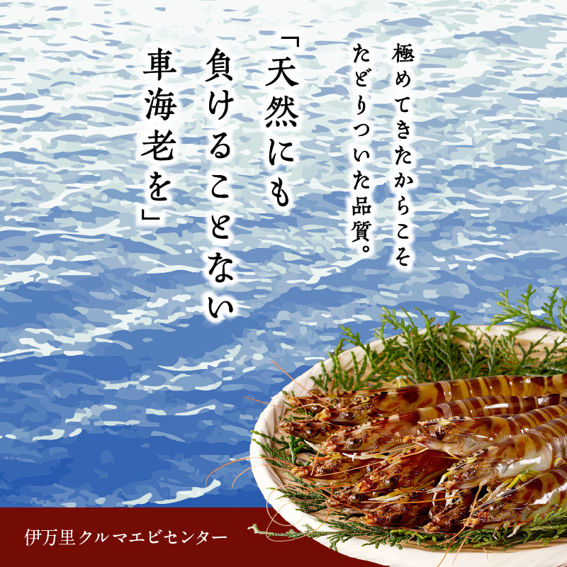 迚ケ螟ァ霆頑オキ閠シ医♀蛻コ霄ォ逕ィシ峨→霆翫∴縺ウ縺倥c繧薙ョ繧サ繝繝 010-C100