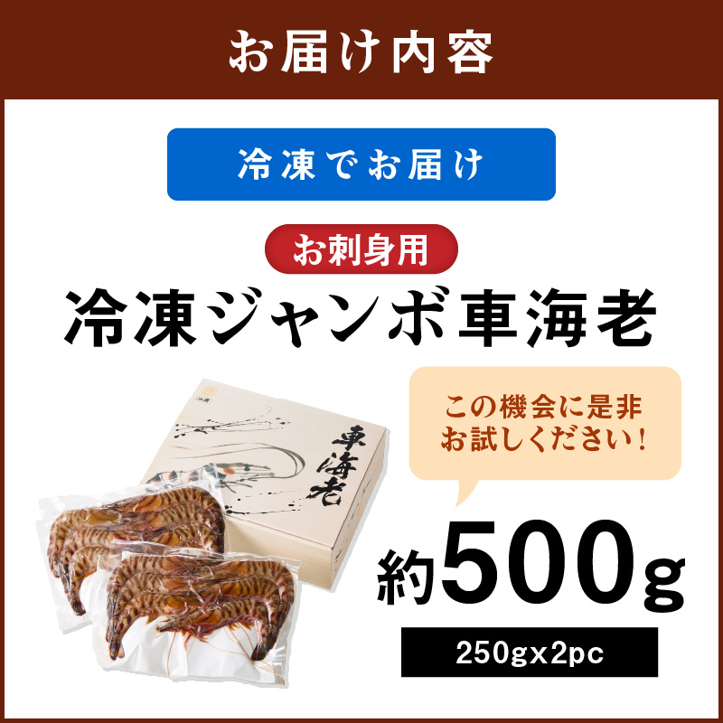 伊万里産 お刺身用冷凍ジャンボ車海老（250g×2） 010-C166