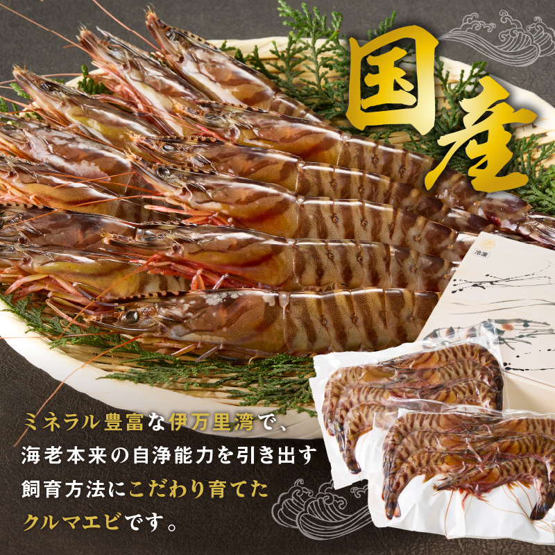 伊万里産 お刺身用冷凍ジャンボ車海老（250g×2） 010-C166