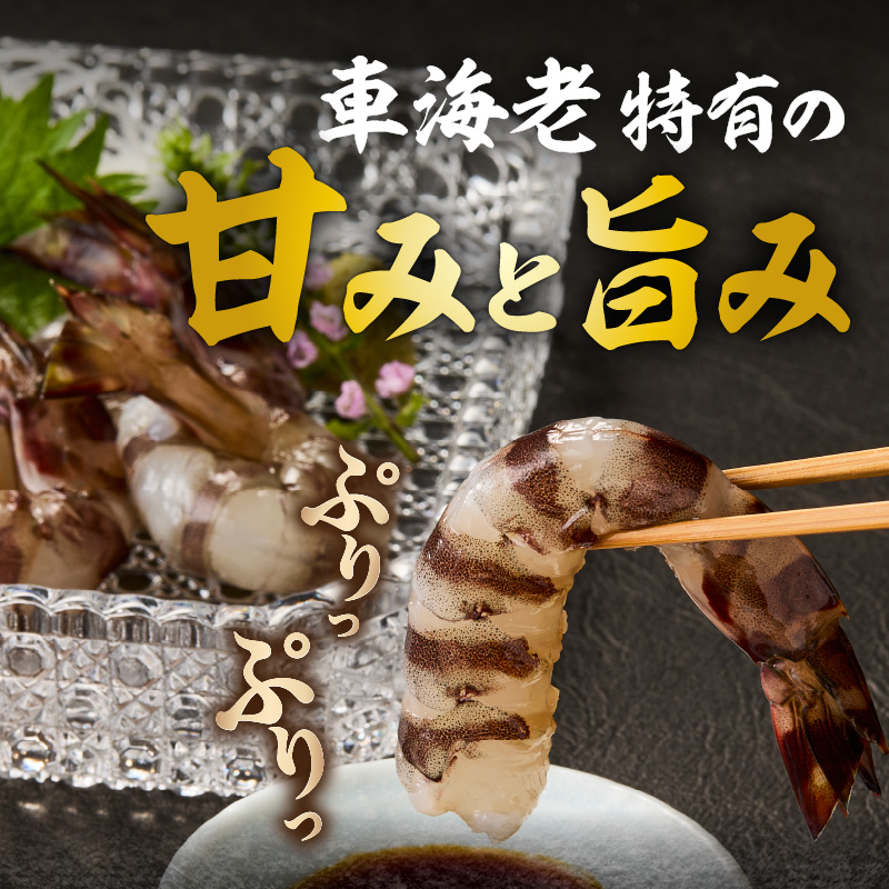 伊万里産 お刺身用冷凍ジャンボ車海老（250g×2） 010-C166