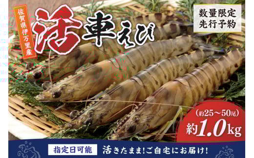 活車海老 1kg 指定日可能【数量限定 先行予約】（12月1日から配送開始） 010-C180