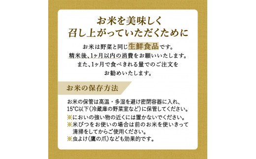 【定期便】さがびより【白米】５kg×６回 B643