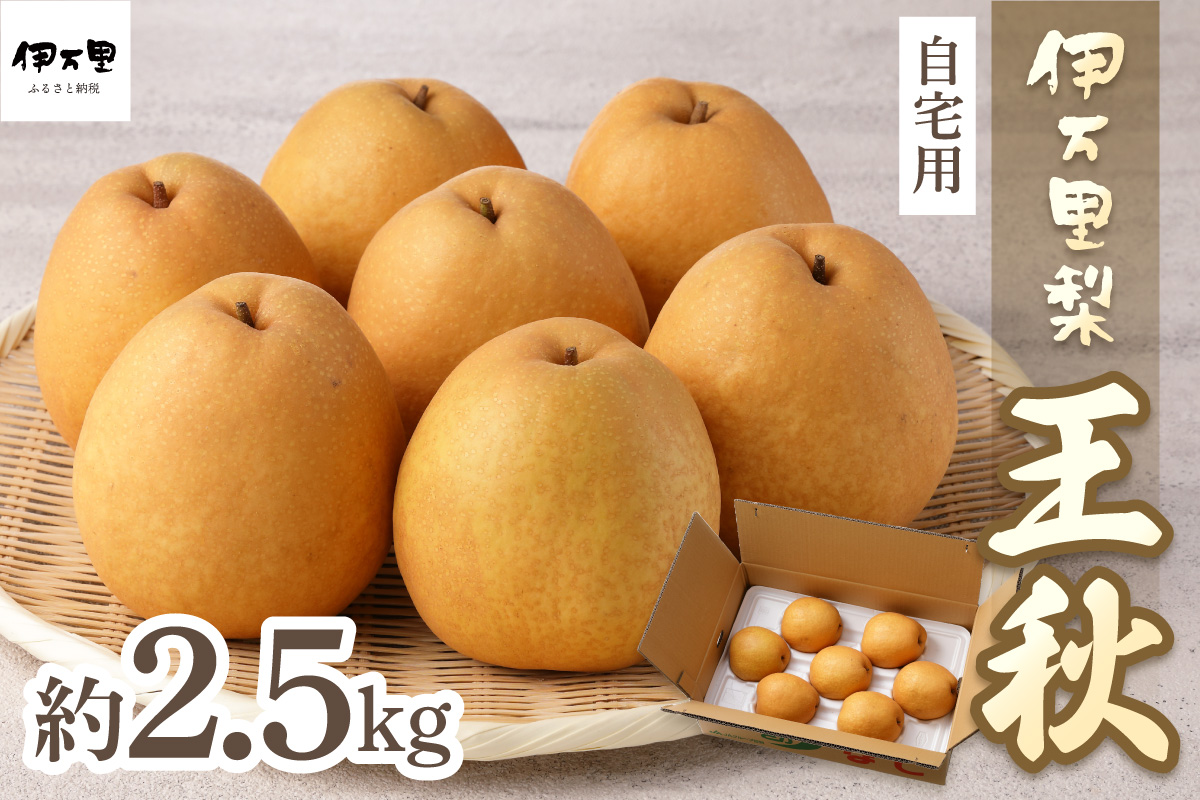 ã2026幎ç£å
è¡äºçŽãäŒäžé梚ãçç§ã çŽ2.5kg 178-B1071