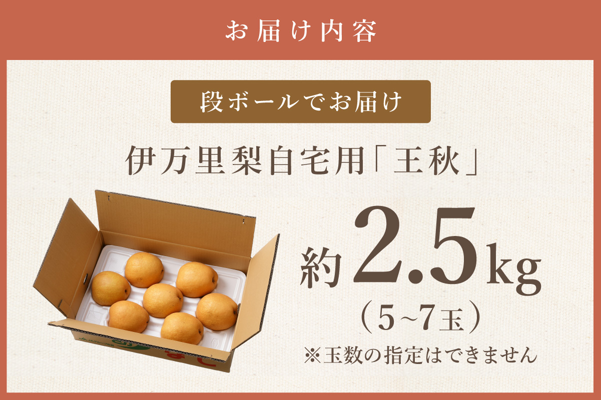 ã2026幎ç£å
è¡äºçŽãäŒäžé梚ãçç§ã çŽ2.5kg 178-B1071