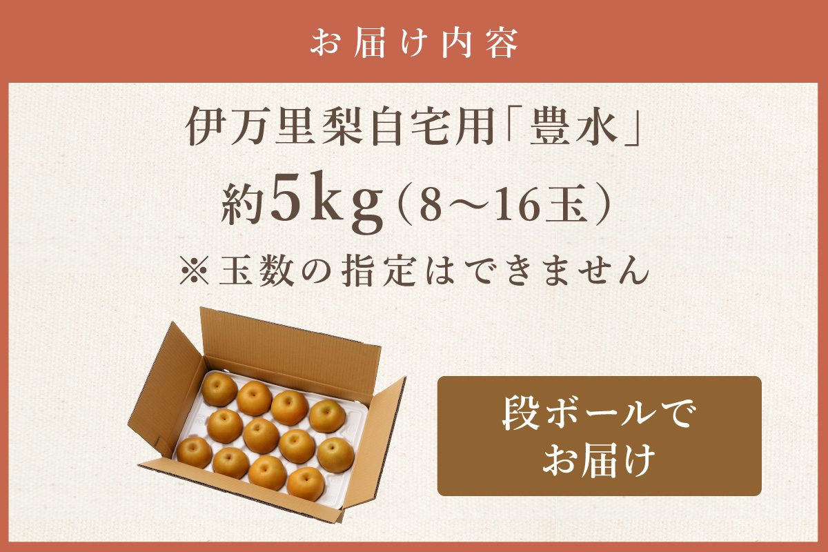 【2026年産先行予約】伊万里梨 「豊水」 約5kg ご自宅用におすすめ 178-B939