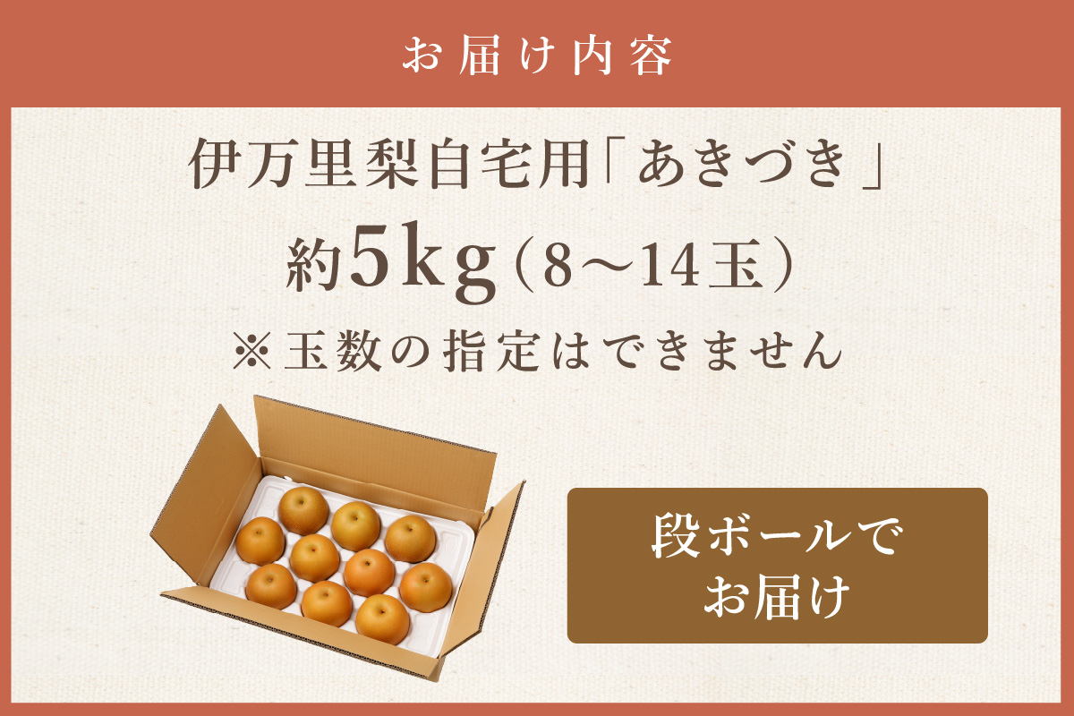 【2026年産先行予約】伊万里梨「あきづき」 約5kg 178-B940