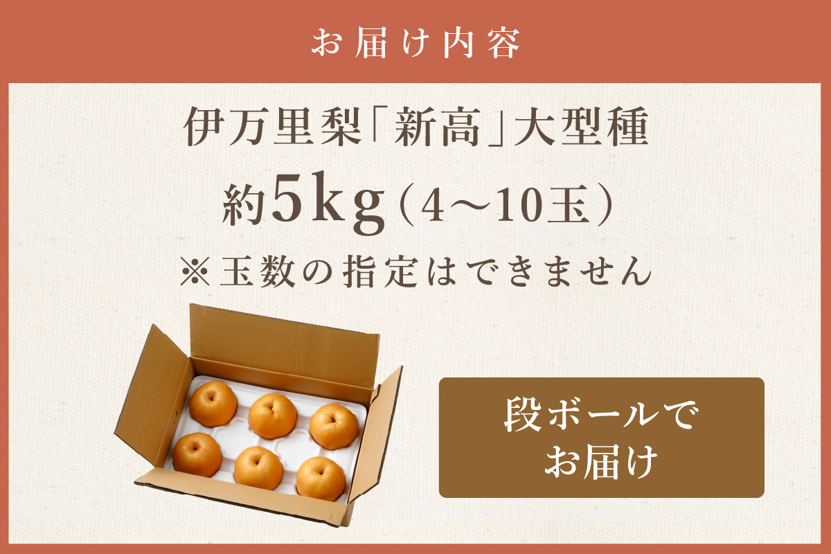 【2026年産先行予約】伊万里梨「新高」 5kg 大型種 178-B942