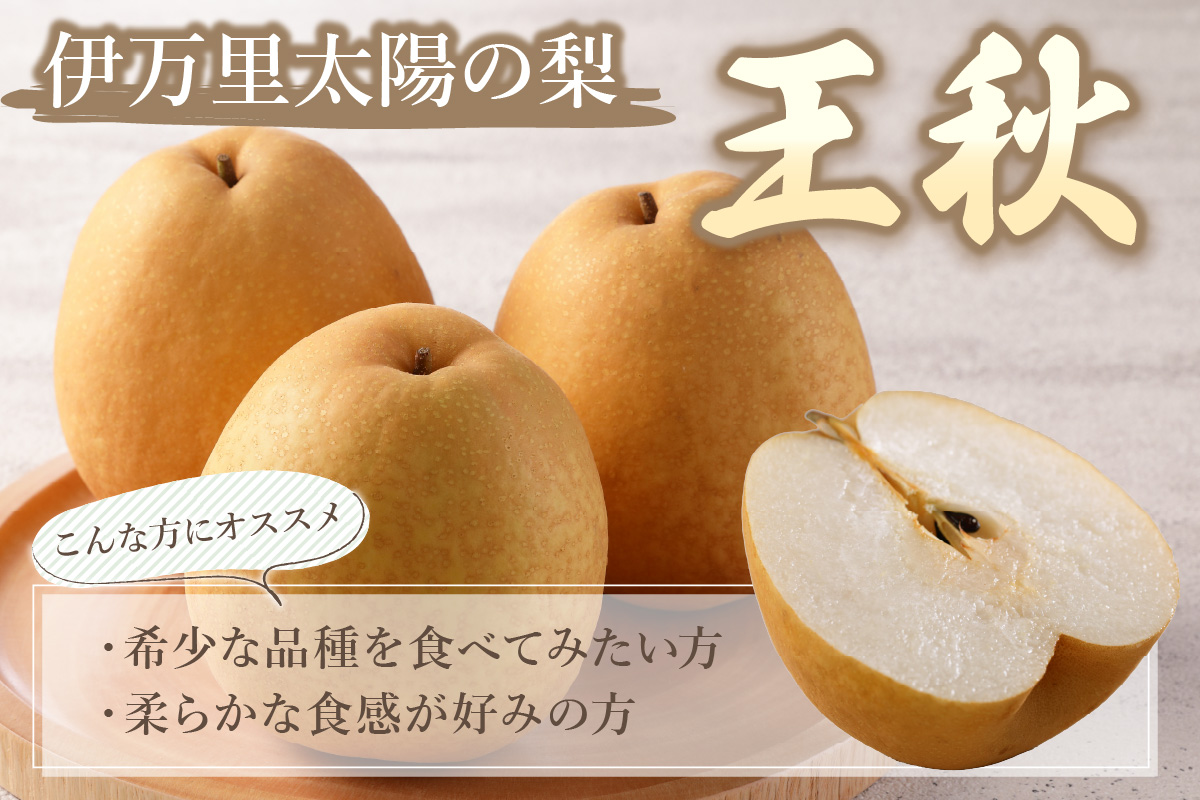 【2026年産先行予約】伊万里梨「王秋」 約5kg 178-B943