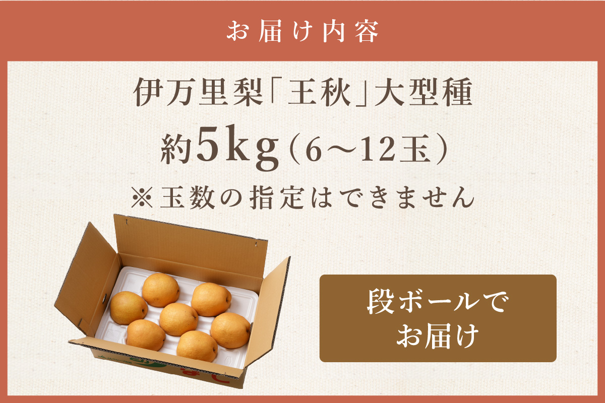 【2026年産先行予約】伊万里梨「王秋」 約5kg 178-B943