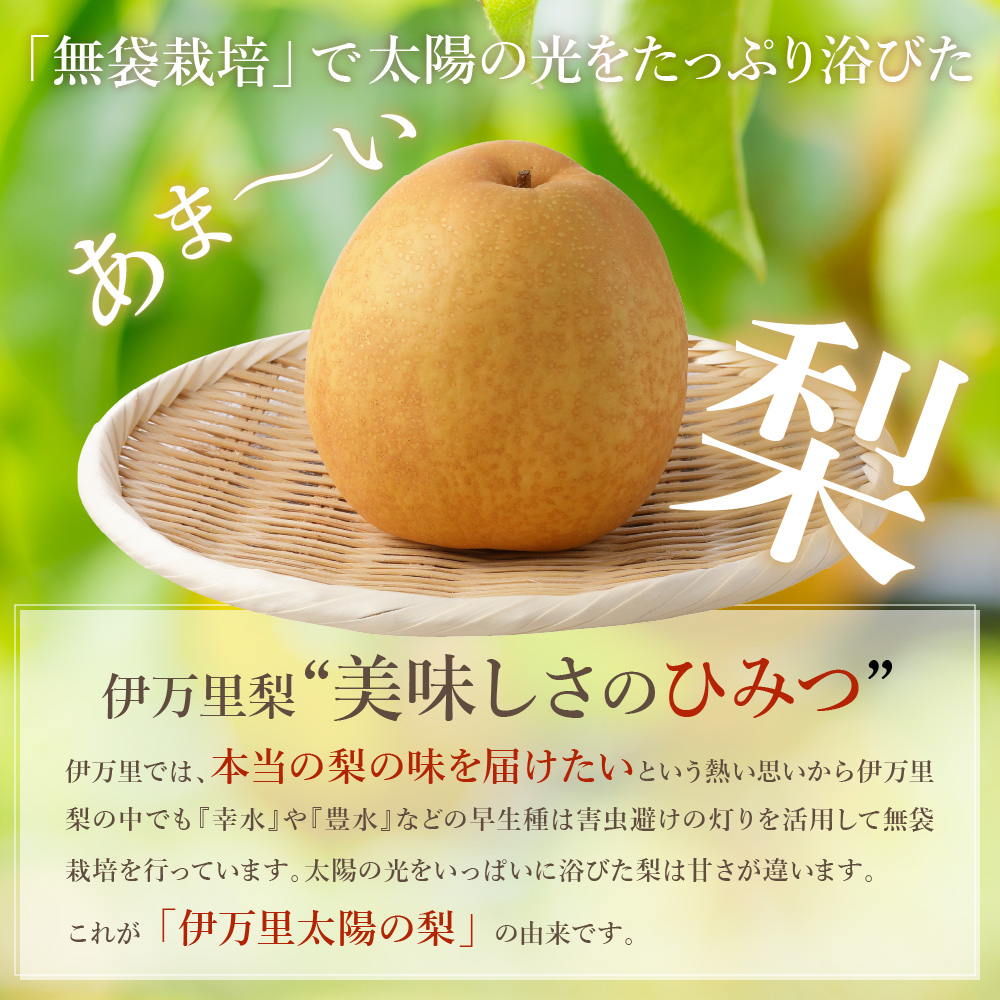 ã2026幎ç£å
è¡äºçŽãäŒäžé梚ãçç§ã çŽ5kg 178-B943