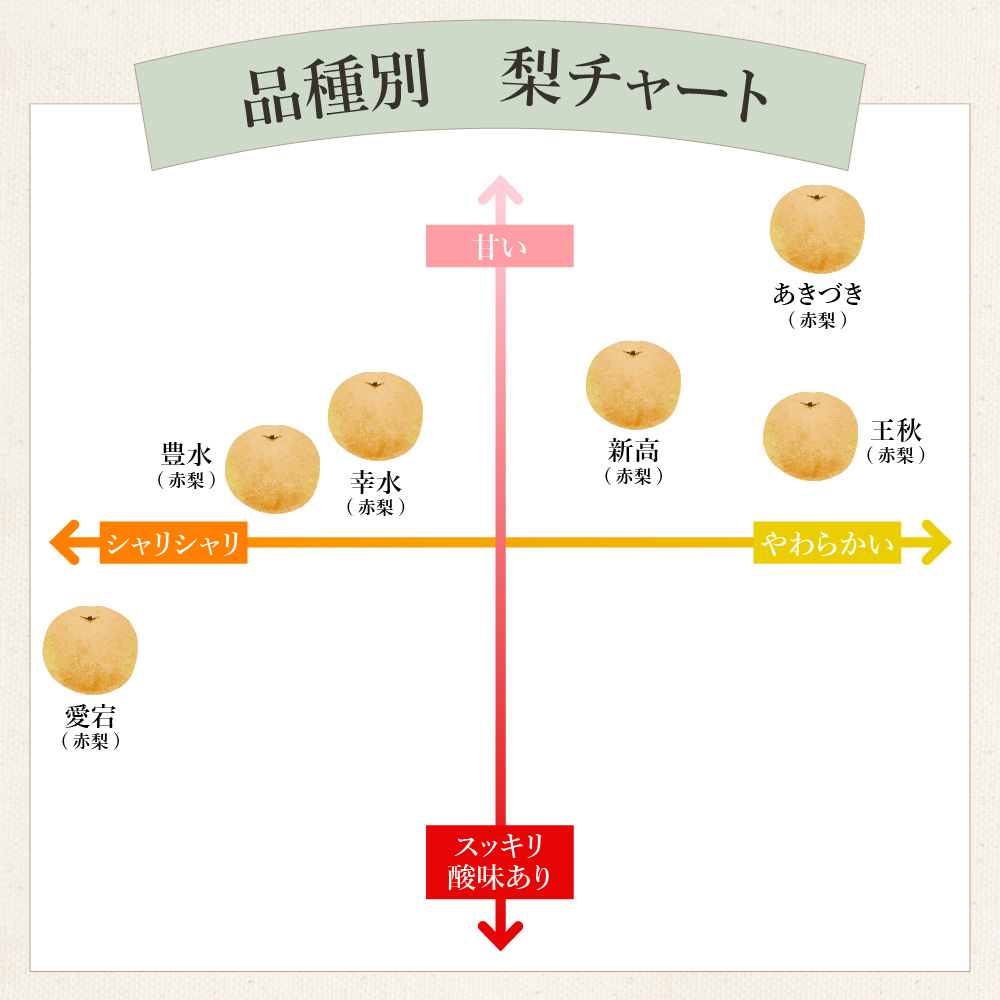 ã2026幎ç£å
è¡äºçŽãäŒäžé梚ãããã¥ãã çŽ5kg 178-B940