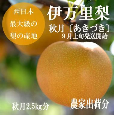 【 数量限定 】 伊万里梨 あきづき 2.5kg 令和6年産 B625