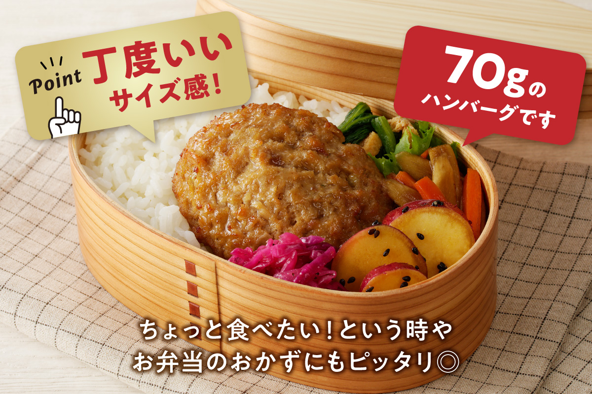 【伊万里牛100％使用】 伊万里牛 ハンバーグ 約70g×6個 計約420g 真空・個包装 183-J1116