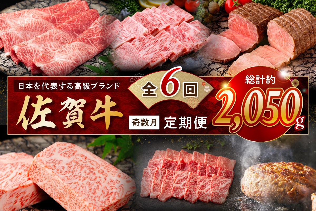 【発送月固定 定期便】肉の定期便！ 厳選 佐賀牛 隔月お届け（奇数月）全6回 999-J1169