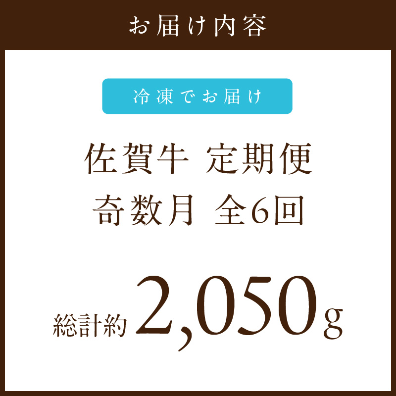 【発送月固定 定期便】肉の定期便！ 厳選 佐賀牛 隔月お届け（奇数月）全6回 999-J1169