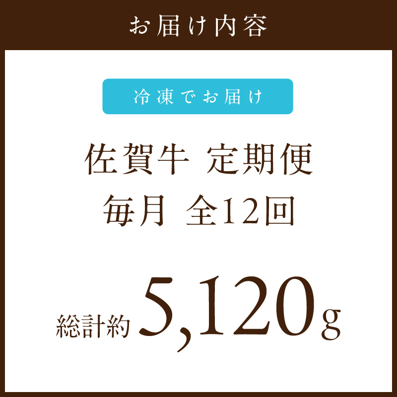 【発送月固定 定期便】肉の定期便！ 佐賀牛 毎月月替わりでお届け 全12回 999-J1171
