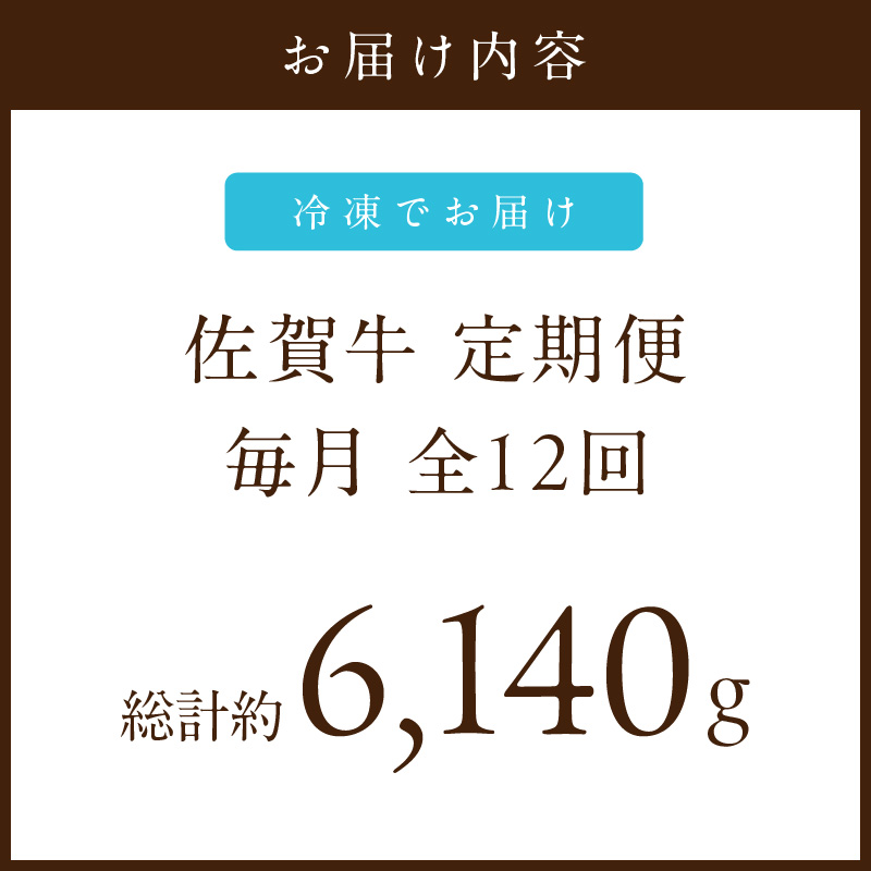 【発送月固定 定期便】肉の定期便！ 特選佐賀牛 毎月月替わりでお届け 全12回 999-J1172