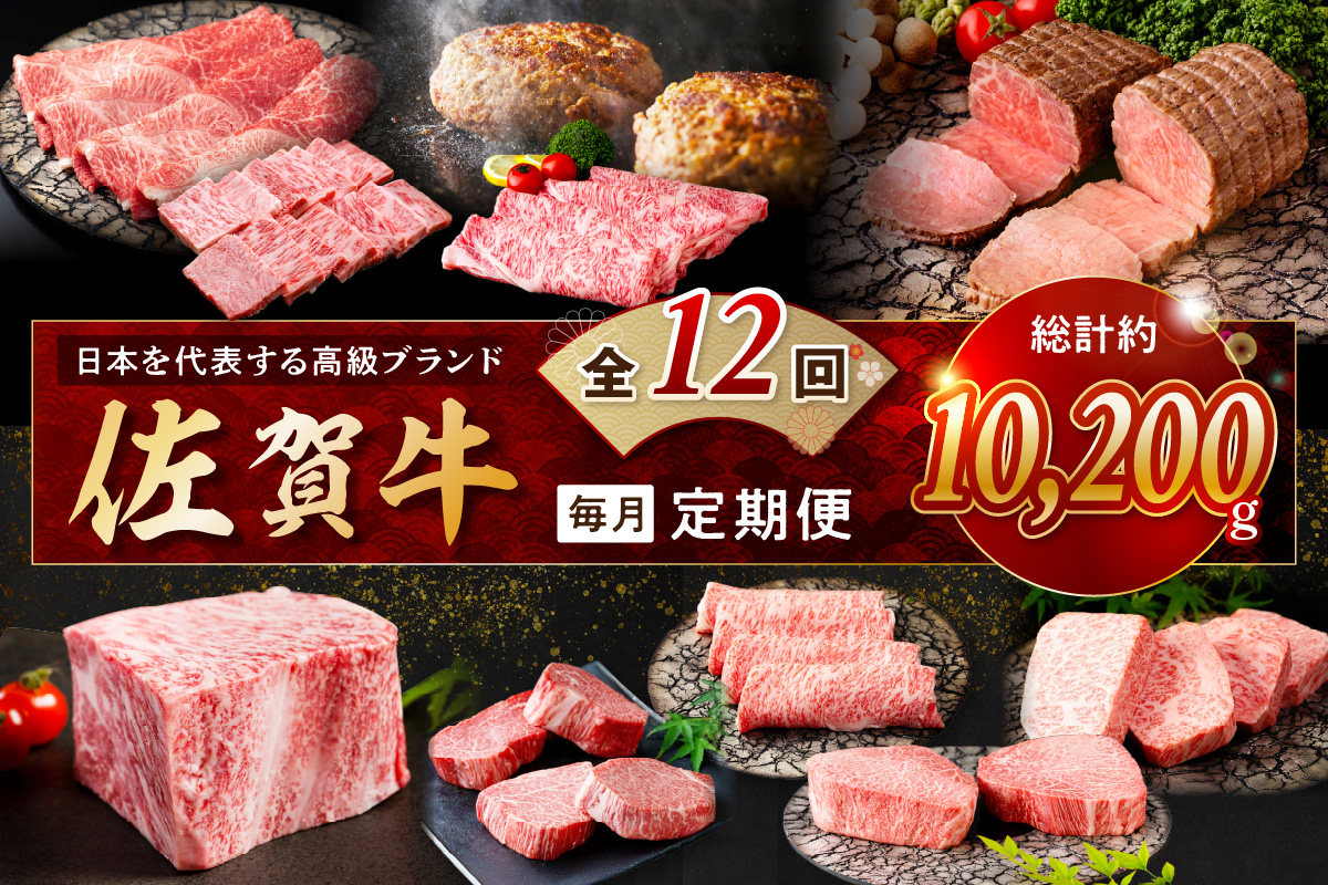 【発送月固定 定期便】肉のプレミアム定期便！ 毎月 佐賀牛 をお届け！全12回 999-J1173