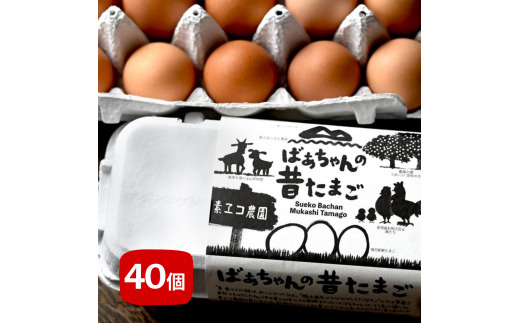 äŒäžé ãæ¥œãã¿çŠè¢ å®æäŸ¿ å
š3å çè ç±³ ããŸããæ¯æçºéã³ãŒã¹ã 999-E035