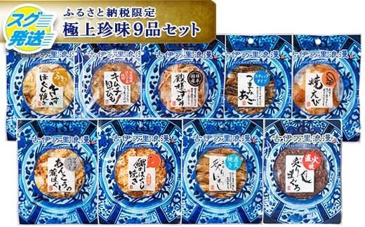 古伊万里浪漫 おつまみ 9選（するめ さきいか等） 014-G309