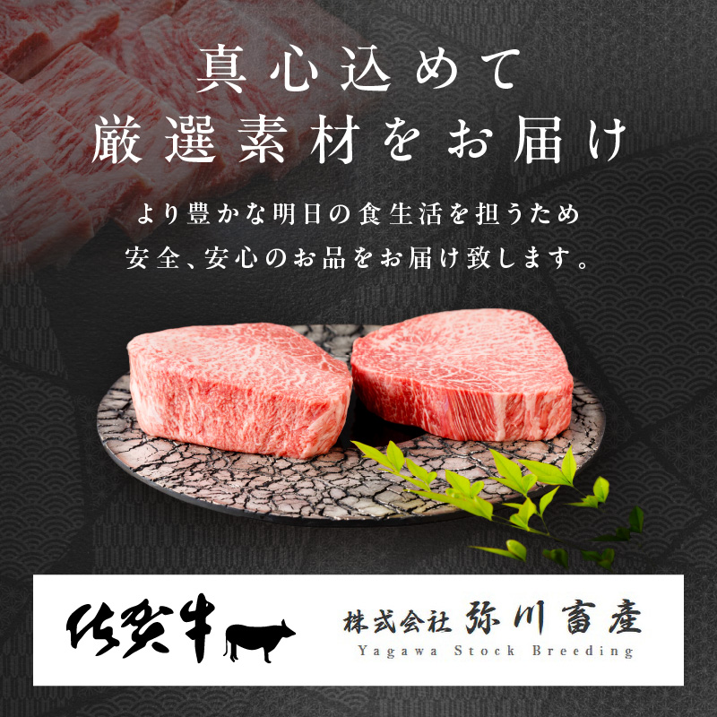 【発送月固定 定期便】肉の定期便! 佐賀牛 を3ケ月に1回お届け! 全4回 999-J1168