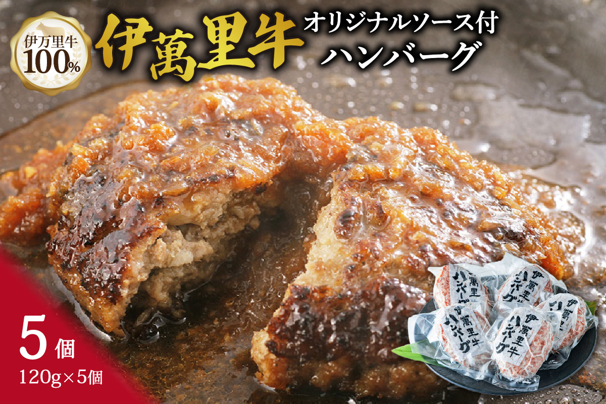 伊万里牛ハンバーグ 120g×5個(合計600g) 卵・牛乳不使用 007-J1771