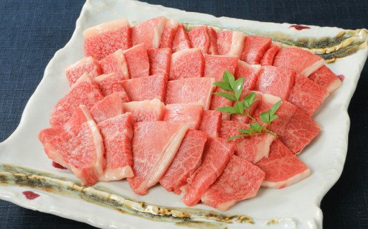 伊万里牛 バラエティ美味 焼肉セット 牛肉 豚肉 鶏肉 1.1kg J298