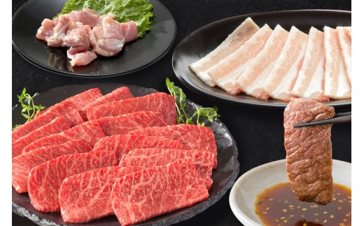 スタミナ満点！バーベキューセット 約1kg モモ 牛肉 豚肉 鶏肉 002-J2158