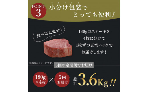 【全5回 定期便】佐賀牛 ヒレ ステーキ　総計3.6kg J412