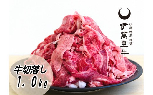 伊万里牛切り落とし 1kg (500g×2) 小分け 007-J1764