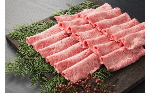 伊万里牛 食べつくし 定期便 6回便 モモスライス入り ヒレステーキ 100万円コース 999-J254