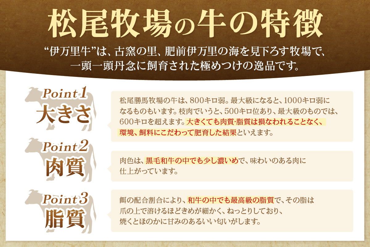 伊万里牛切り落とし 800g (400g×2) 小分け 007-J2652