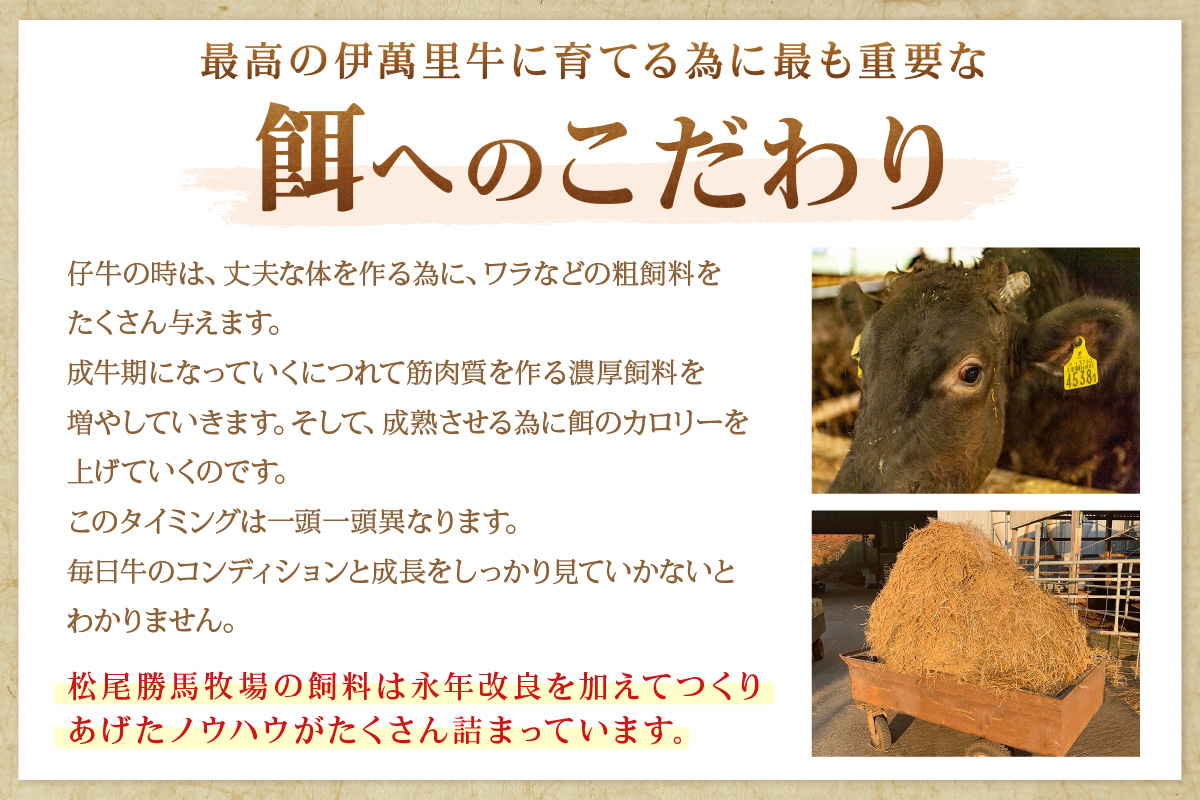 伊万里牛切り落とし 800g (400g×2) 小分け 007-J2652