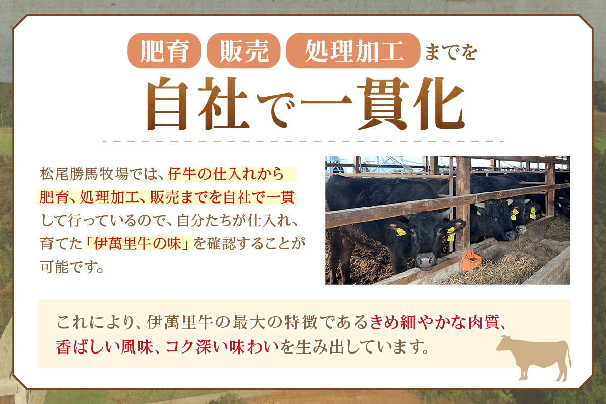 伊万里牛切り落とし 800g (400g×2) 小分け 007-J2652