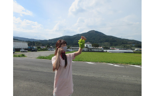 南波多町まちづくり運営協議会の活動を応援！【思いやり型返礼品（協賛型）】 123-O025