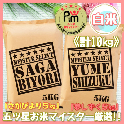 【11月から順次発送】 令和6年産 《マイスターセレクト》 食べ比べ さがびより ＆ 夢しずく 白米 各5kg（計10kg） B689