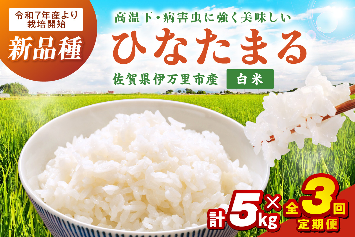 【定期便】伊万里産米 ひなたまる 白米5kgｘ3回 999-B889