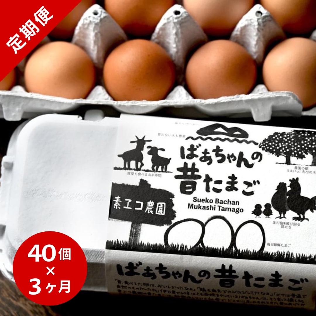 【3回定期便】平飼いで のびのび！ばあちゃんの昔たまご 40個/月 割れ保証あり B618