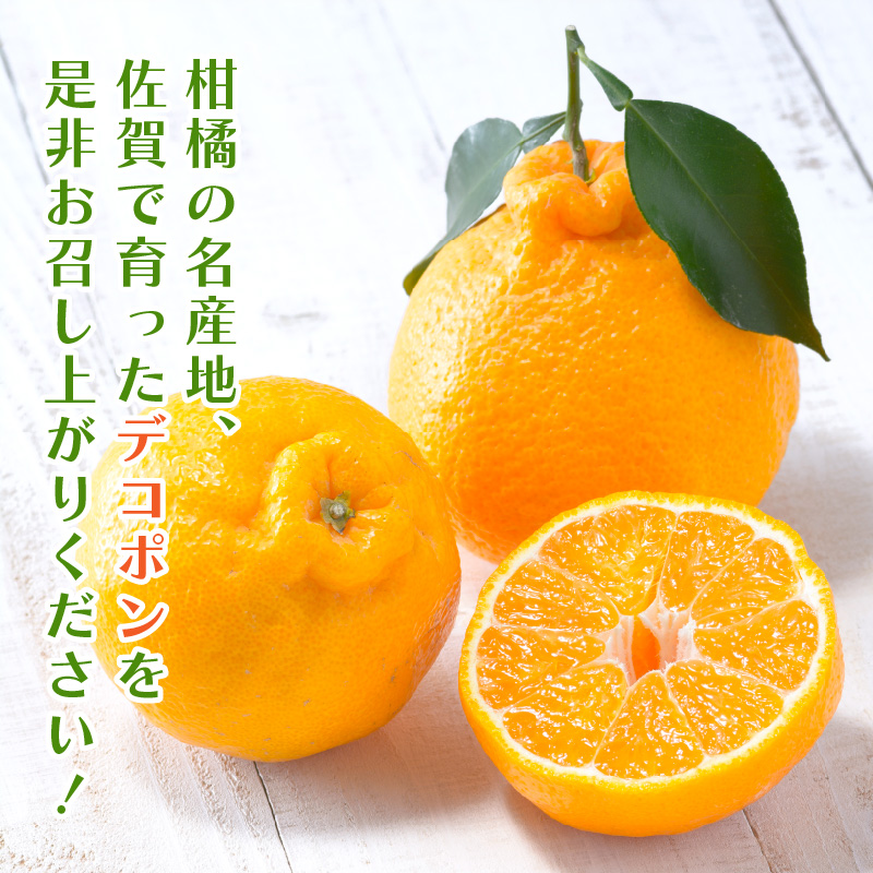 äœè³ç£ ãã³ãã³ çŽ2.5kg (8-11ç) (äŒäžéåž) ææ©é¡ 147-B804