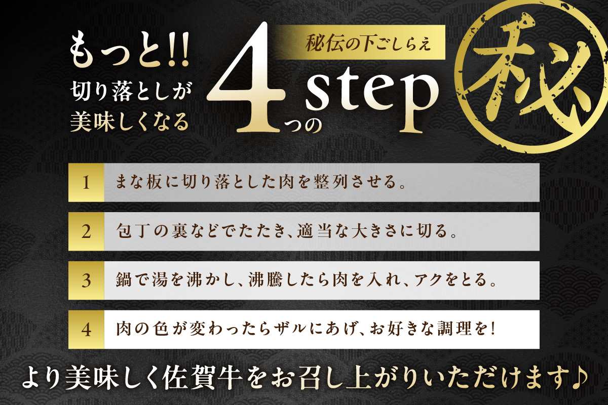 佐賀牛 訳あり 切り落とし 1kg (500g×2p) 159-J1695