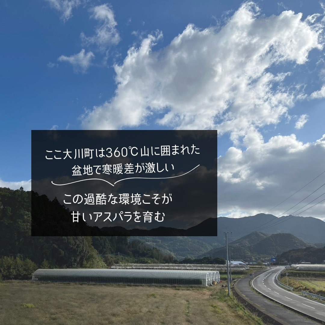【先行受付 令和8年3月より順次発送】野菜ソムリエサミット 2024年3月度『金賞』受賞 《梅村農園のアスパラガス》 1kg 174-B538