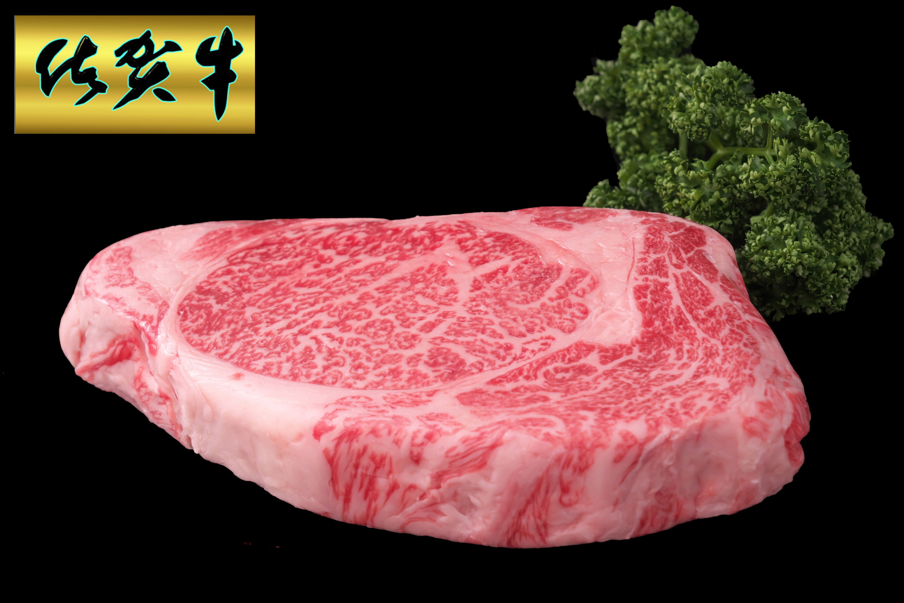 äœè³çååãããŒã¹ã¹ããŒã500ïœÃ1æ 192-J1553