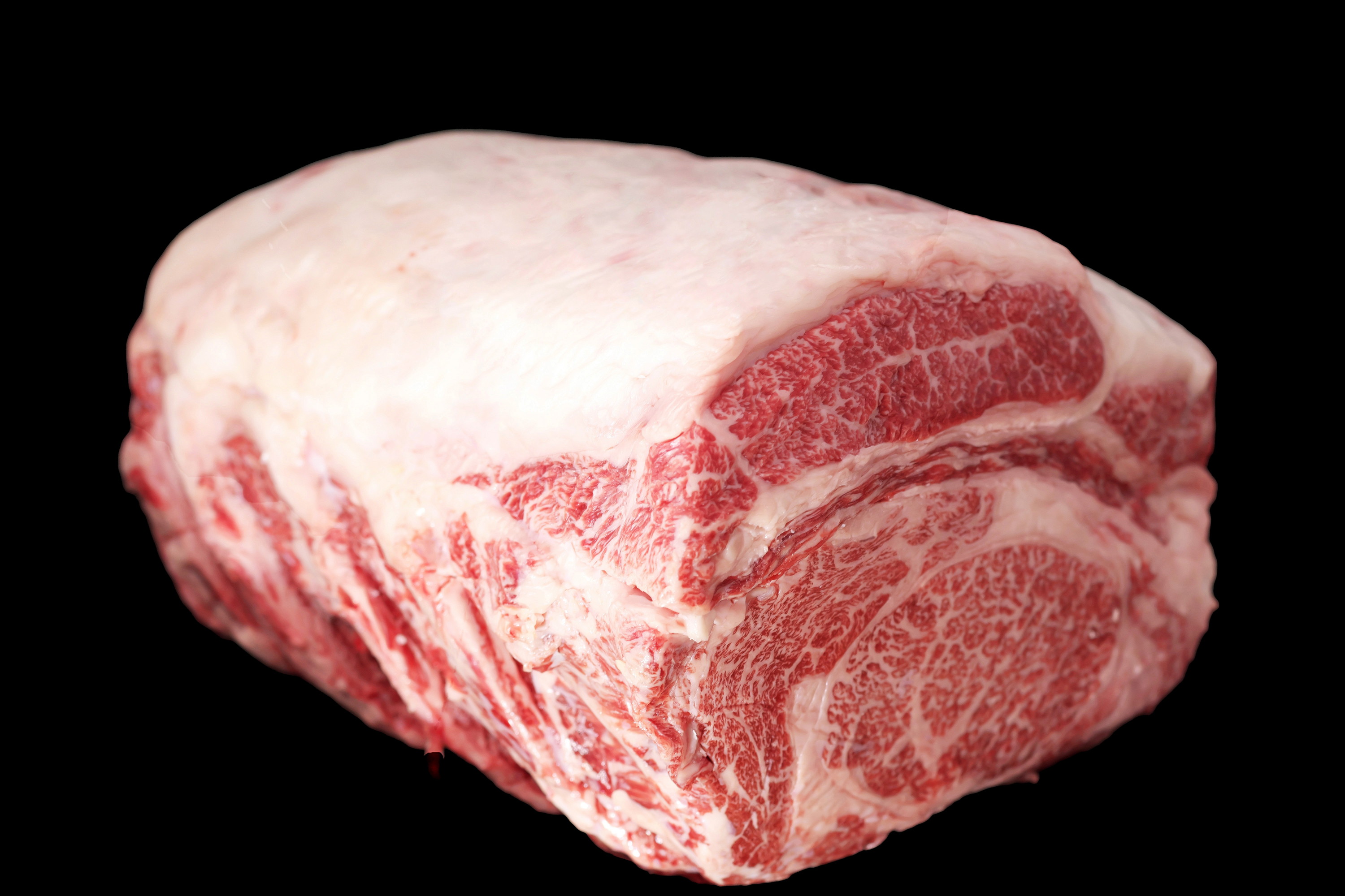 äœè³çååãããŒã¹ã¹ããŒã500ïœÃ1æ 192-J1553