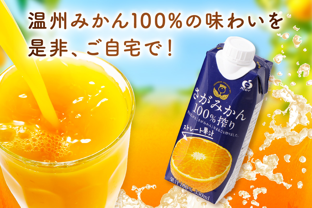 【佐賀県産温州みかん使用】 みかんジュース さがみかん100％搾り 330ml×12本入り 2箱セット A041