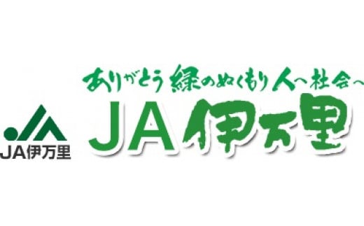 フルーツ定期便【10回便】彩 いちご もも みかん等 10種類 B718