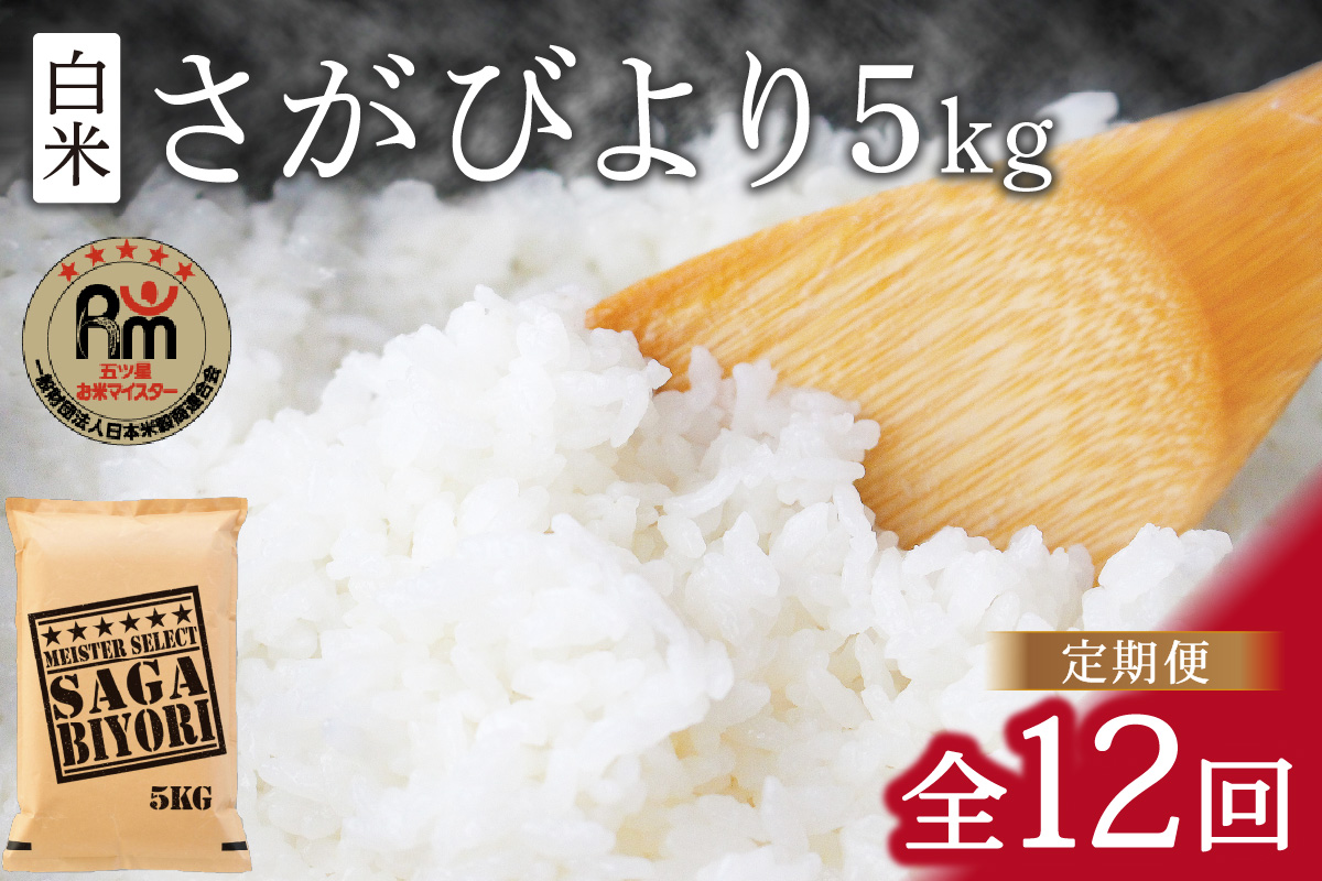 令和6年産 《マイスターセレクト》 さがびより【白米】 5kg×12回 B701