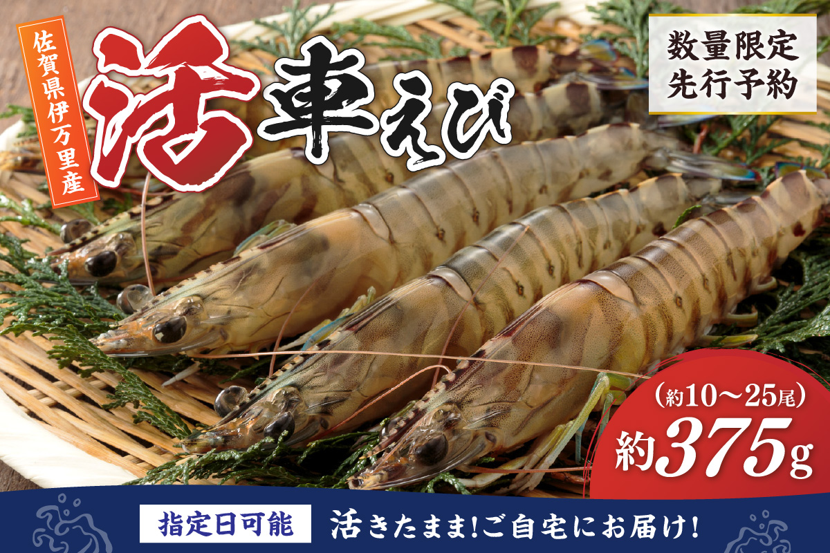 活車海老 375g 指定日可能【数量限定 先行予約】（12月1日から配送開始） 010-C165