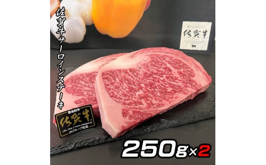 佐賀牛A5サーロインステーキ250g×2枚 161-J775